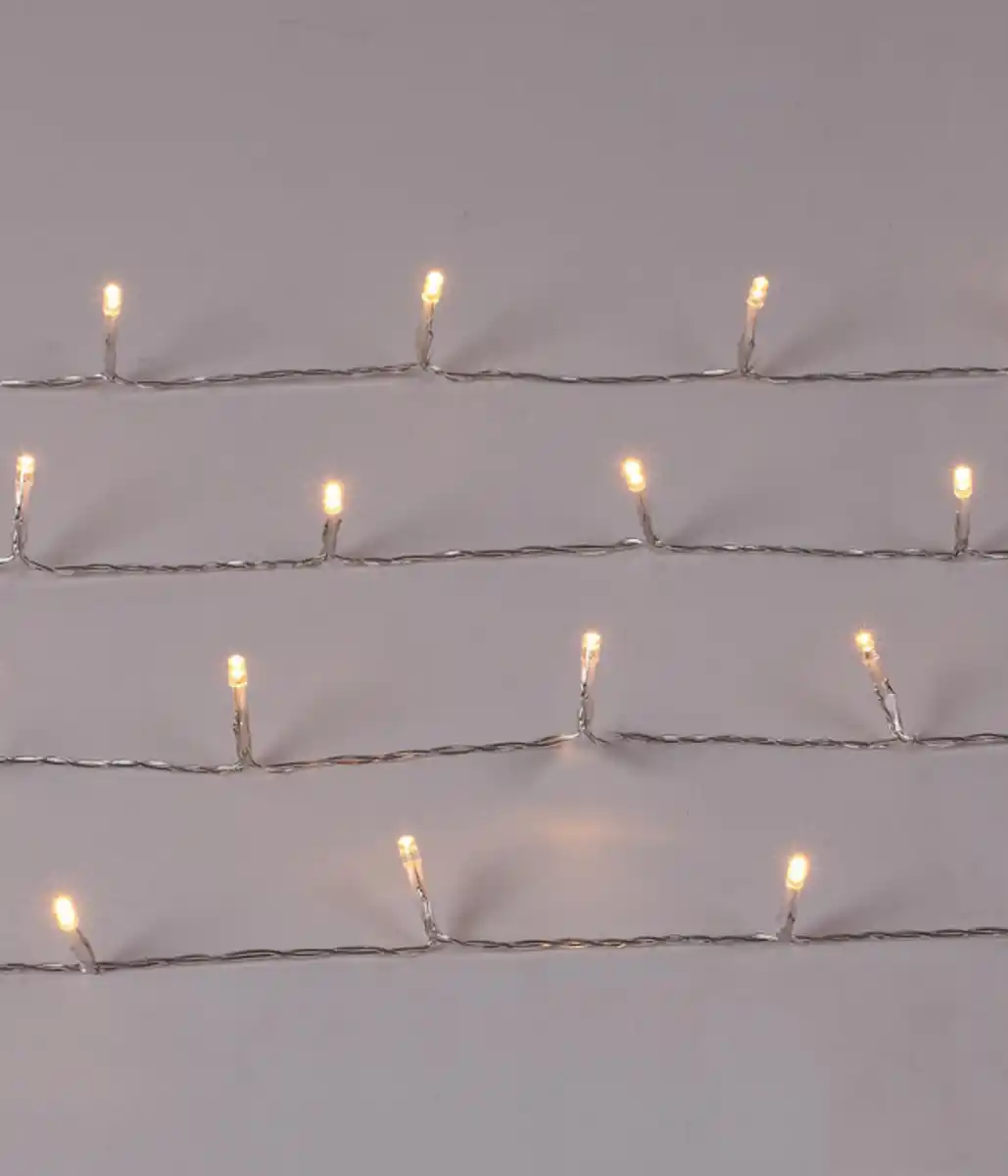 Bild 2 von Dehner LED-Lichterkette 50 LEDs, warmweiß