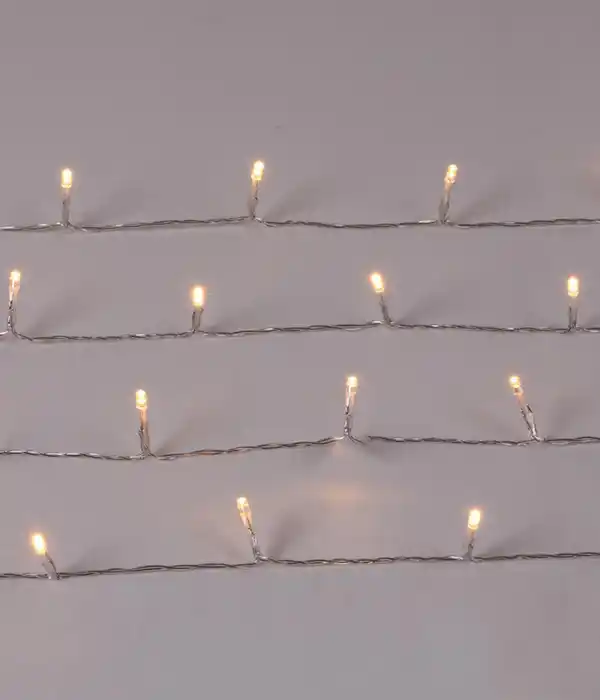 Bild 2 von Dehner LED-Lichterkette 50 LEDs, warmweiß