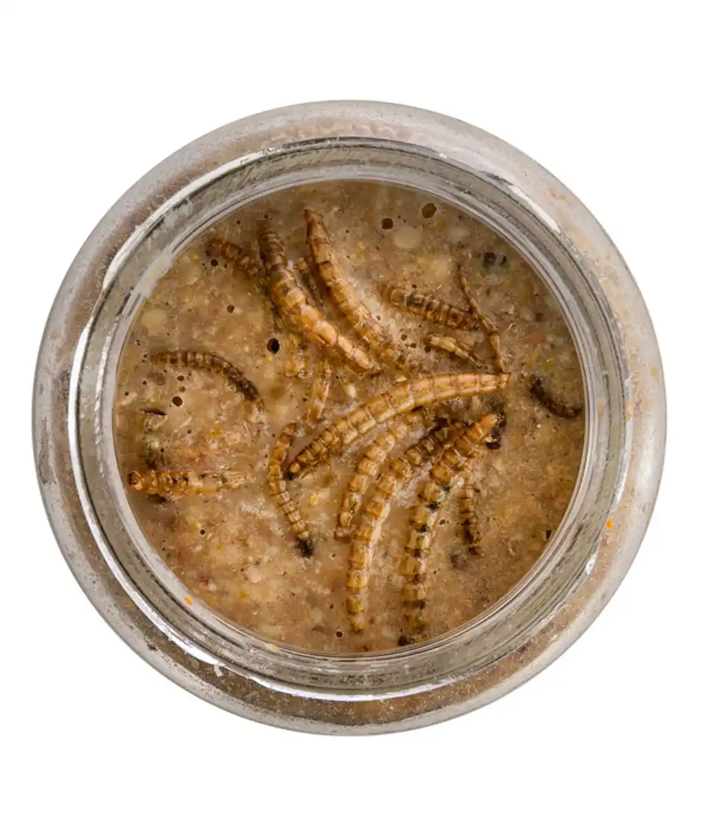 Bild 3 von Dehner Natura Erdnussbutter im Glas, Mehlwürmer, 8 x 340 g