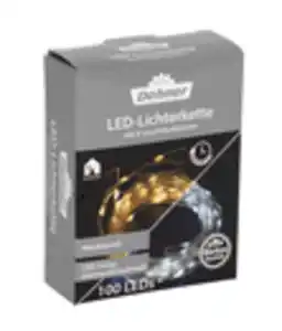 Dehner LED-Lichterkette, warm-/kaltweiß