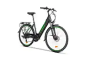 E-Bike City Docgreen 28 Zoll 110 km, Grün, Schwarz