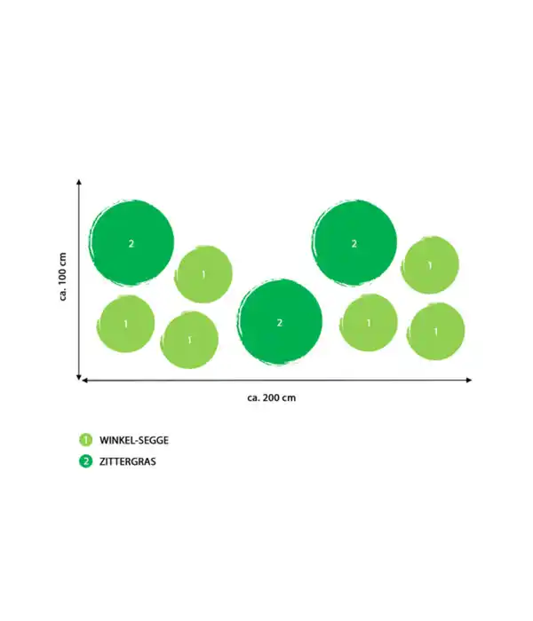 Bild 2 von Bodendecker Gräser-Set Grüne Oase, 9-teilig