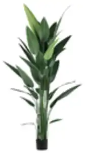 Kunstpflanze Wassercanna in Grün ca. 210cm