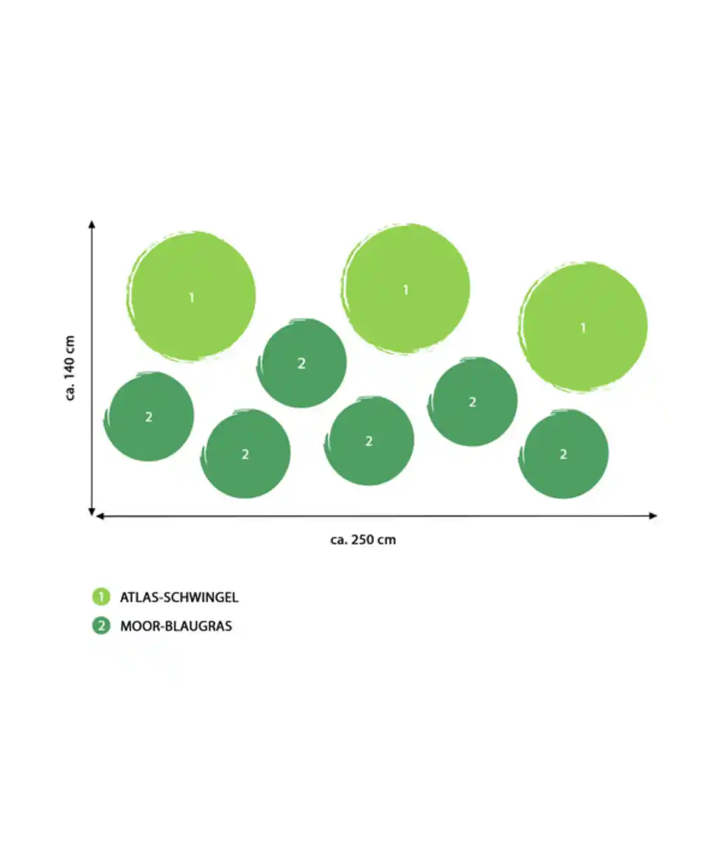 Bild 2 von Bodendecker Gräser-Set Sonnengarten, 9-teilig