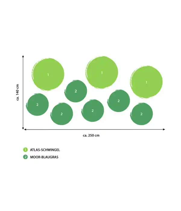 Bild 2 von Bodendecker Gräser-Set Sonnengarten, 9-teilig