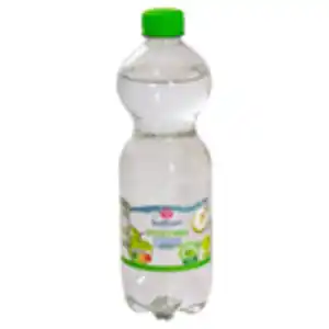 QUELLBRUNN Aqua Plus 0,5 l