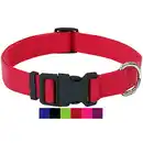 Bild 1 von DEY - Premium Hundehalsband Nylon | Verstellbar | für Kleine