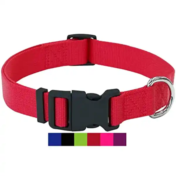 Bild 1 von DEY - Premium Hundehalsband Nylon | Verstellbar | für Kleine