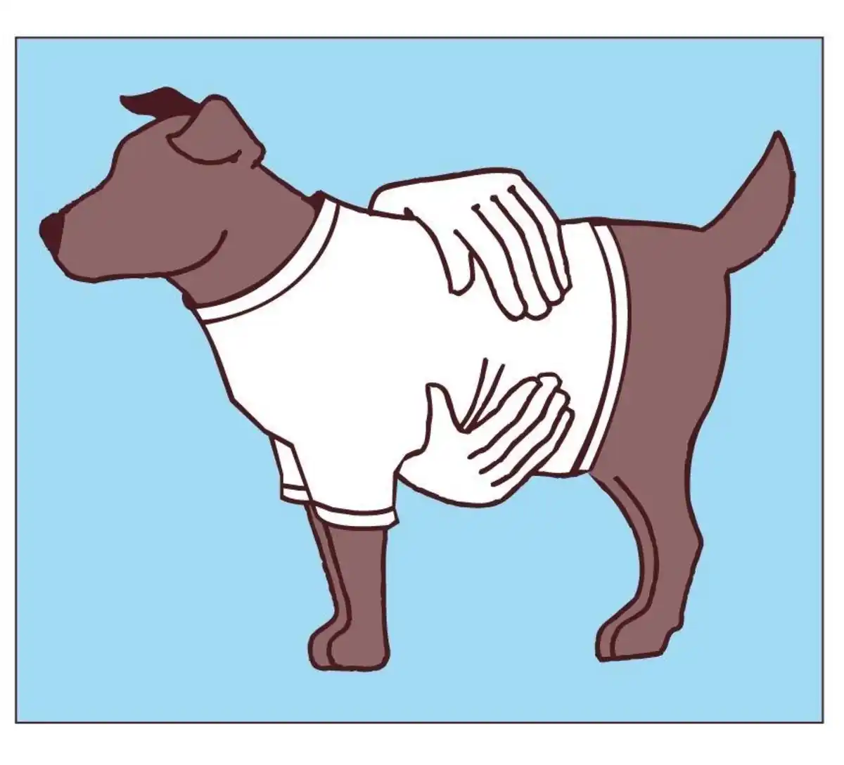 Bild 2 von Set mit 2 Stück T-Shirts Gr. 30 schwarz