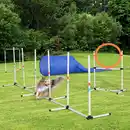 Bild 4 von 5-tlg. Hunde Agility Set Training für Haustiere mit Hundetunnel Tasche