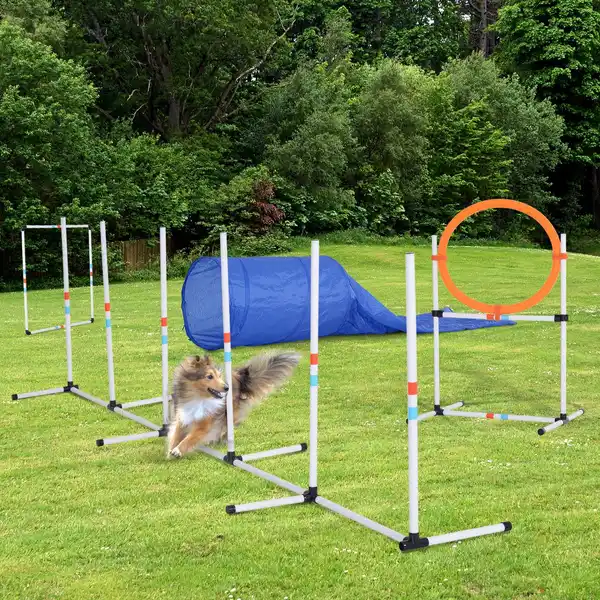 Bild 4 von 5-tlg. Hunde Agility Set Training für Haustiere mit Hundetunnel Tasche