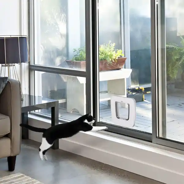 Bild 2 von Katzenklappe Hundeklappe 4 Verschluss-Optionen mit Magnet Haustierklappe für Innentür Klappe für Hau