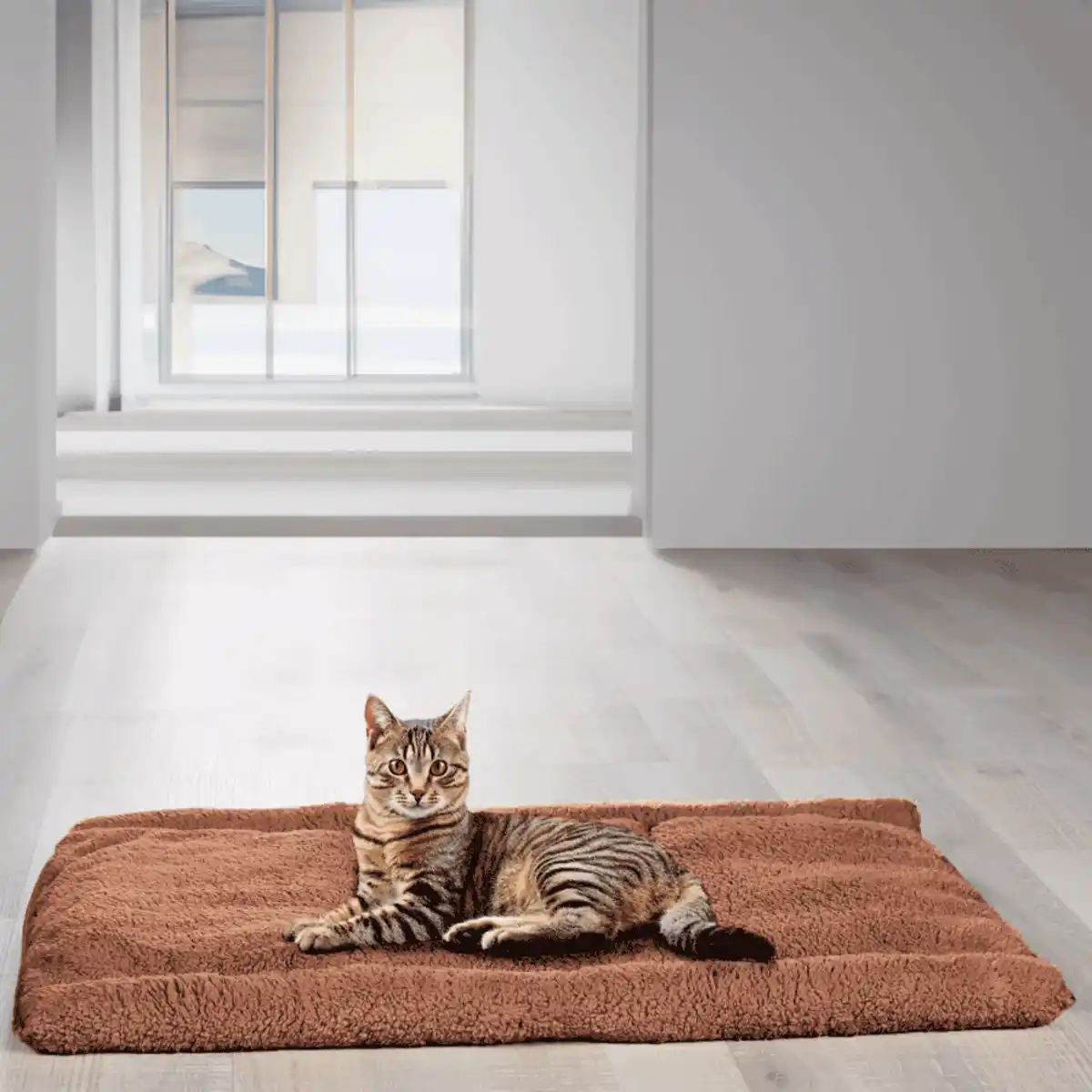 Bild 2 von CAT BONBON Katzentunnel 2 in 1