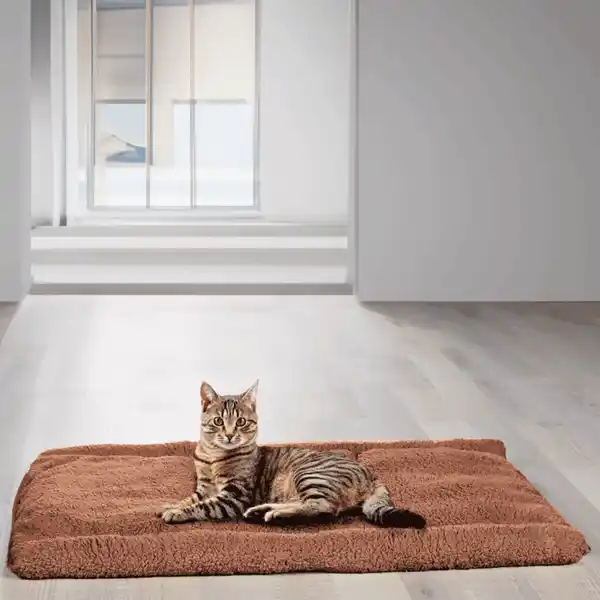 Bild 2 von CAT BONBON Katzentunnel 2 in 1