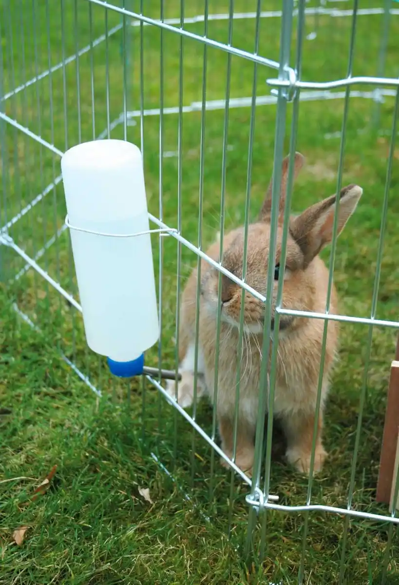 Bild 4 von Freilaufgehege, 8-eckig, silber