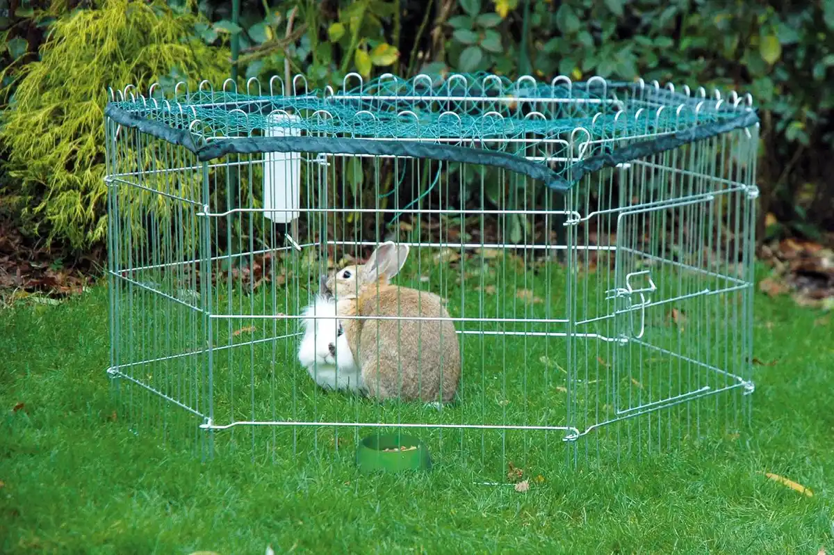 Bild 3 von Freilaufgehege, 6-eckig, silber 80590