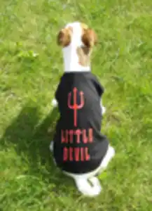 Set mit 2 Stück T-Shirts Gr. 30 schwarz