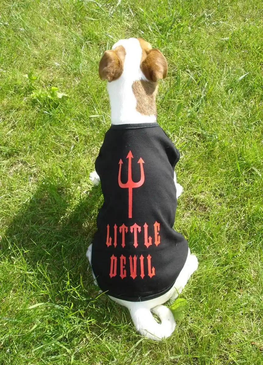 Bild 1 von Set mit 2 Stück T-Shirts Gr. 30 schwarz