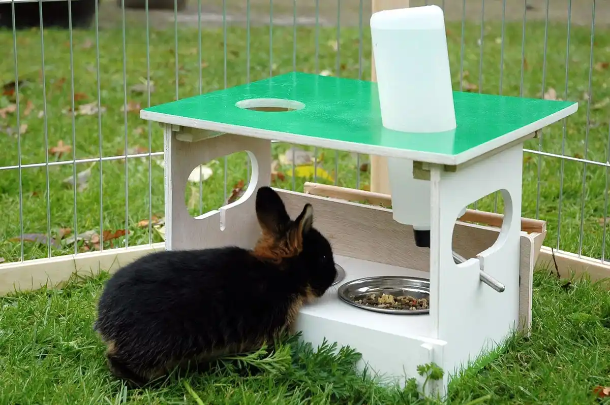 Bild 3 von Futterbar-Set "Hopsi" für Nager