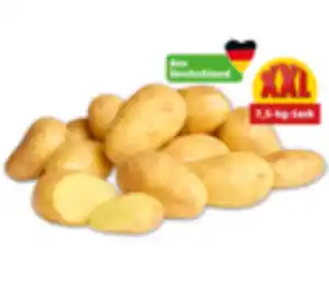 MARKTLIEBE Deutsche Speisekartoffeln*