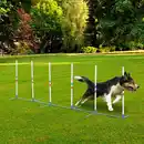 Bild 3 von Hunde Slalomstangen Agility Training für Haustiere Hundetrainigsset Inklusive 600D Tasche Leicht zu