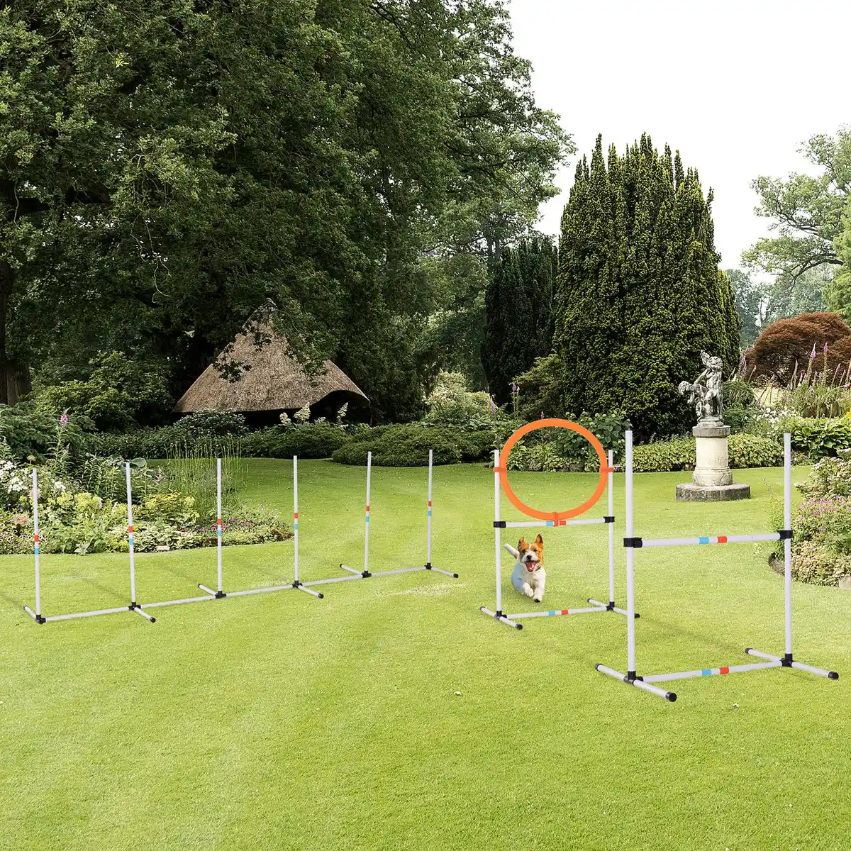 Bild 3 von 3-tlg. Hunde Agility Set Training für Haustiere mit Tasche Weiß+Gelb