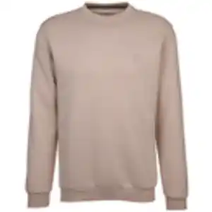 Herren Sweatshirt mit Stickerei Silber