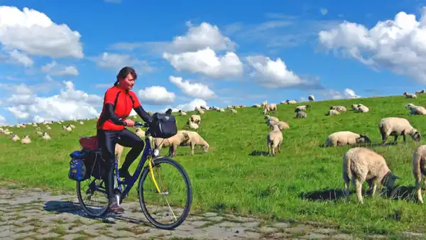 Bild 1 von Eigene Anreise Ostfriesland: Radreise ab/an Emden inkl. 2 Fährfahrten