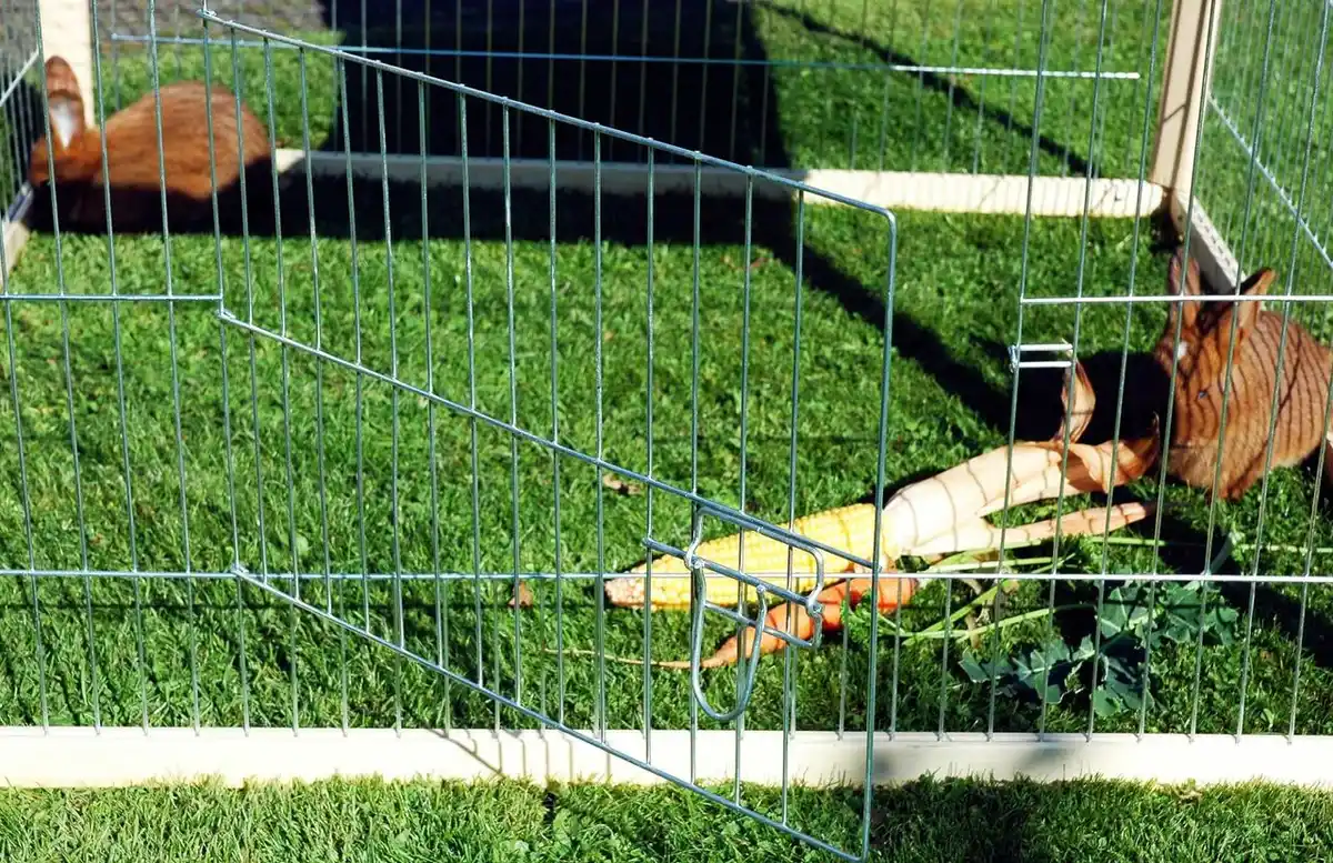 Bild 4 von Freilaufgehege, 4-eckig, Holz + Metall