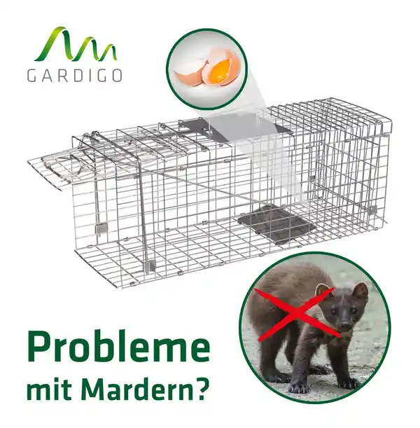 Bild 2 von Katzen-Marder-Lebendfalle Käfig