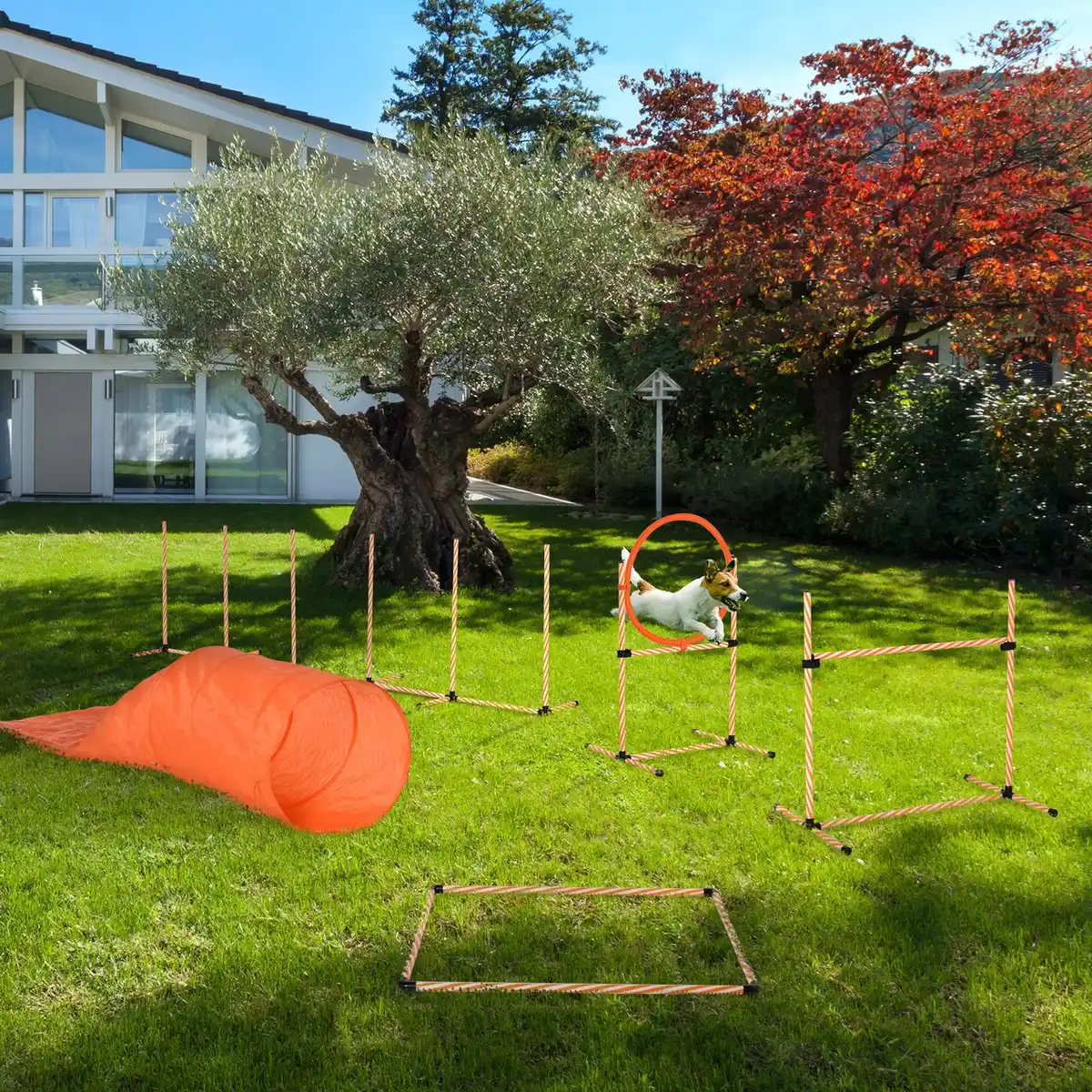 Bild 4 von 5-tlg. Hunde Agility Set Training mit Hundetunnel Leicht zu tragen