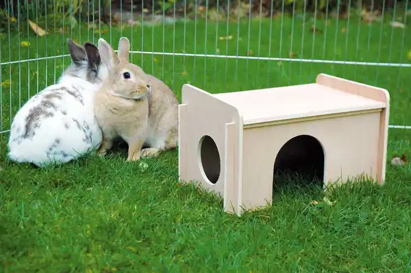 Bild 4 von Freilaufgehege, 6-eckig, silber