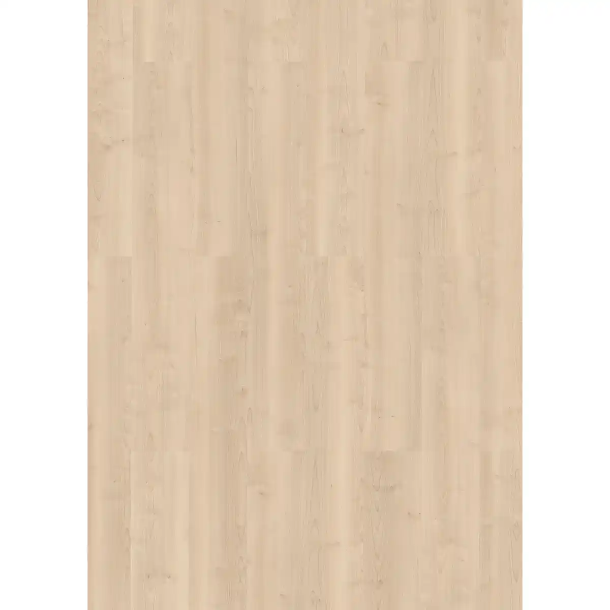 Bild 1 von toom Laminat 'Scandinavia' Birke Nordic naturfarben 7 mm