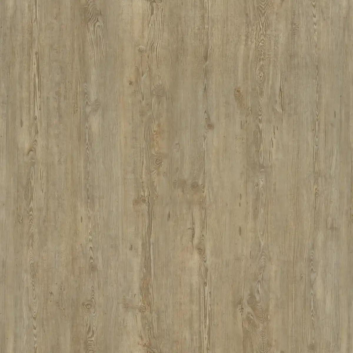 Bild 1 von DECOLIFE Vinylboden 'Comfort' Winter Pine braun 10,5 mm
