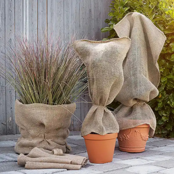 Bild 1 von Powertec Garden XL-Jute-Winter-Pflanzenschutz