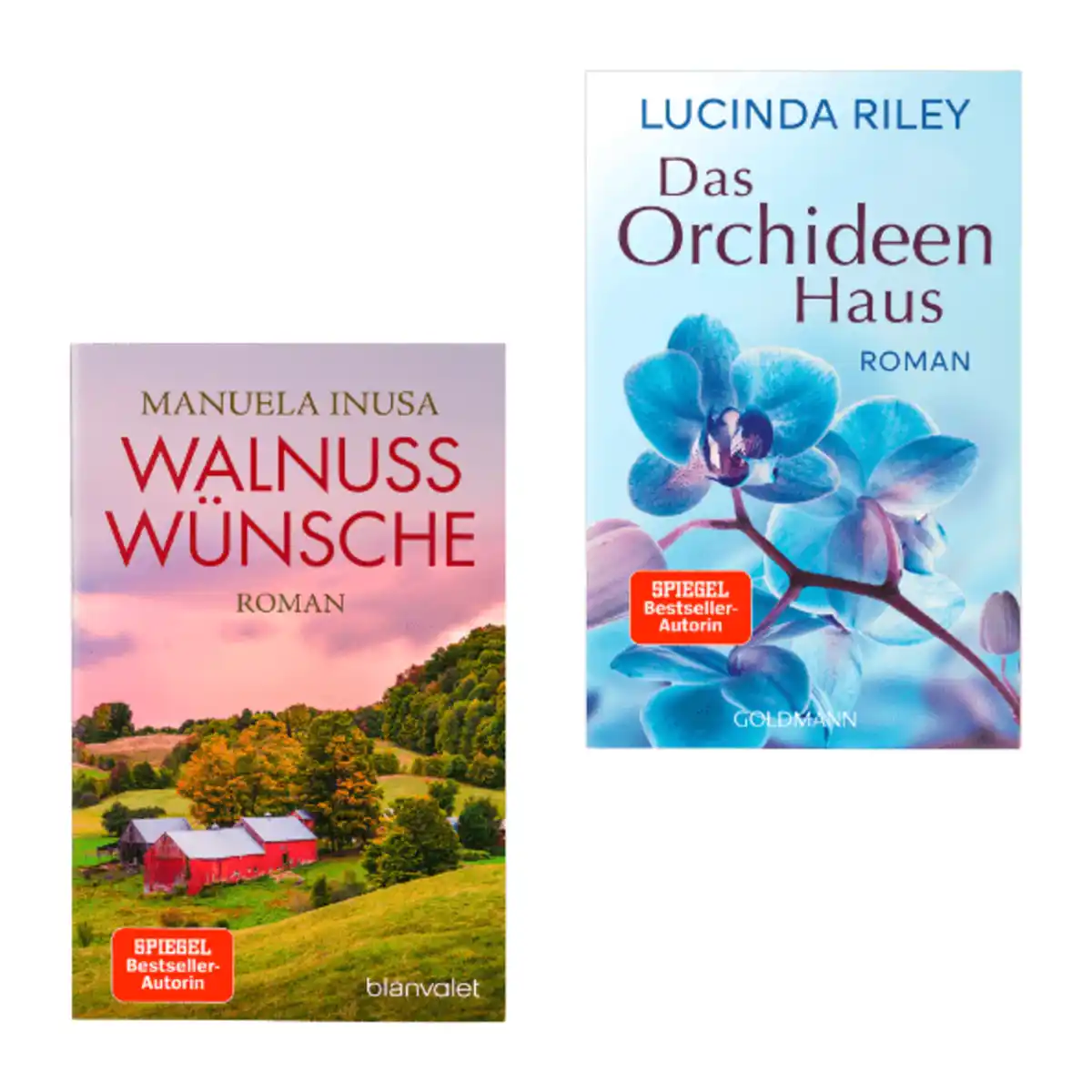 Bild 1 von Taschenbuch