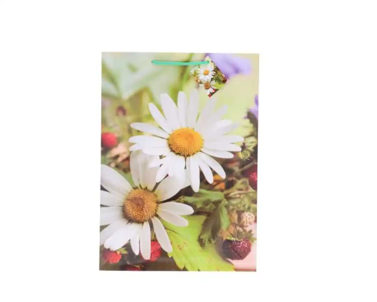 Bild 1 von Geschenktüte Lack, XXL Blumen, A3