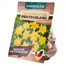 Bild 1 von GARDENLINE Herbstblumenzwiebeln