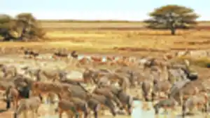 Rundreisen Namibia: Privatreise ab/an Windhoek inkl. 2 Ganztagspirschfahrten