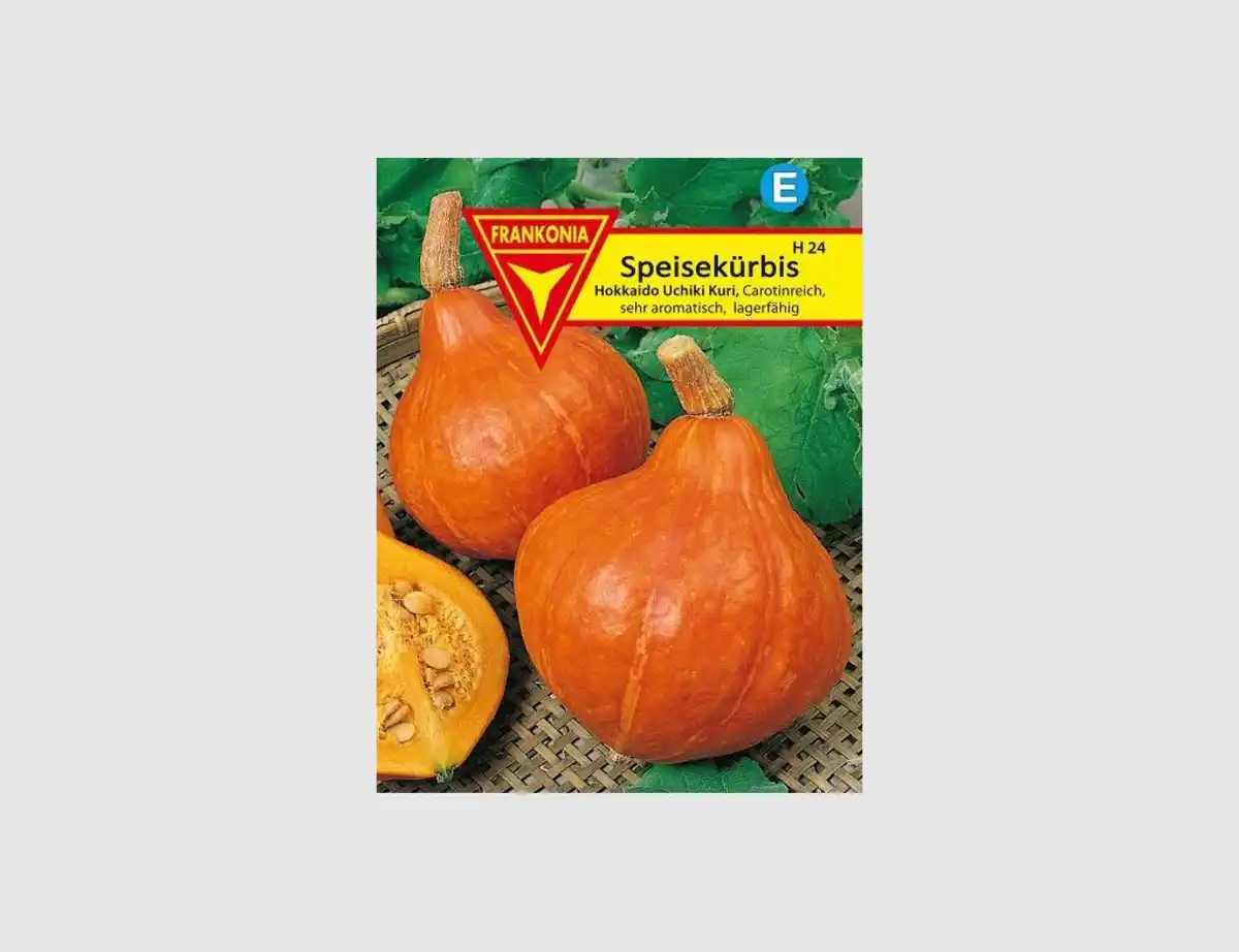 Bild 1 von Speisekürbis Hokkaido Uchiki
