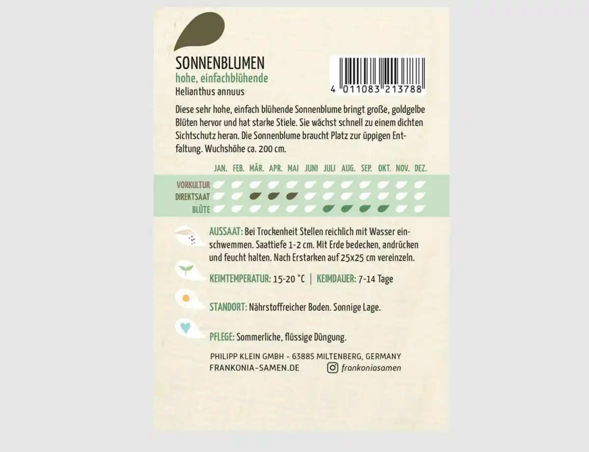 Bild 2 von Sonnenblumen Einfach