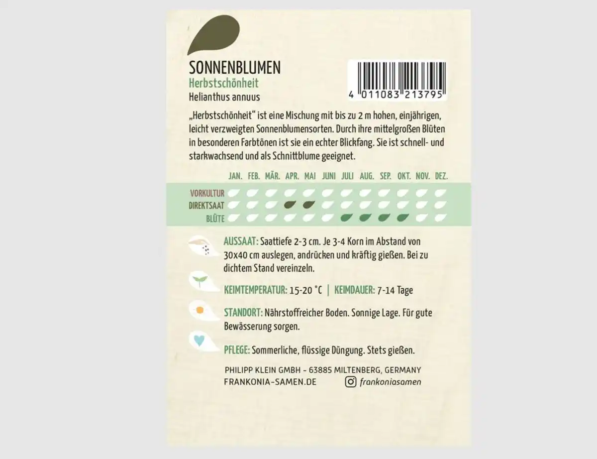 Bild 2 von Sonnenblume Herbstschönheit