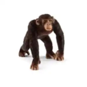 Schleich Wild Life Schimpanse