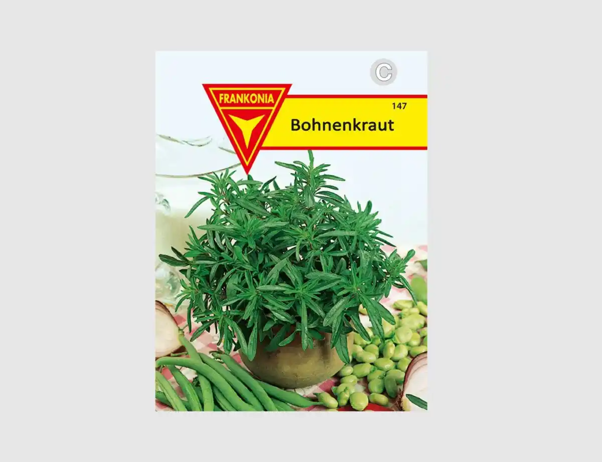 Bild 1 von Bohnenkraut