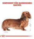 Bild 3 von ROYAL CANIN® Trockenfutter für Hunde Dachshund Adult