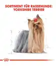 Bild 3 von ROYAL CANIN® Trockenfutter für Hunde Yorkshire Terrier Adult