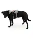 Bild 2 von RUFFWEAR® Hundegeschirr DoubleBack™ Cloudburst Gray, M