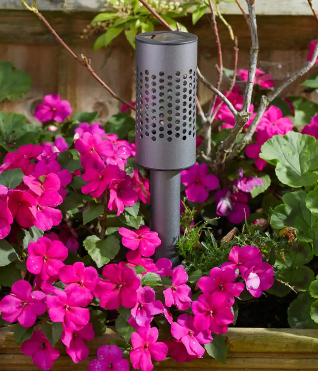 Bild 3 von Smart Garden Solarleuchte Solstar, ca. Ø6,2/H42 cm