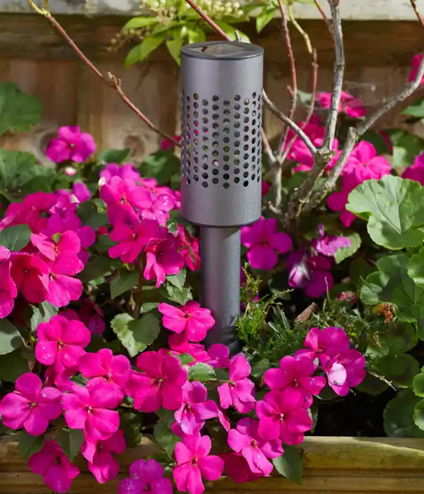 Bild 3 von Smart Garden Solarleuchte Solstar, ca. Ø6,2/H42 cm