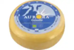 Gouda jung